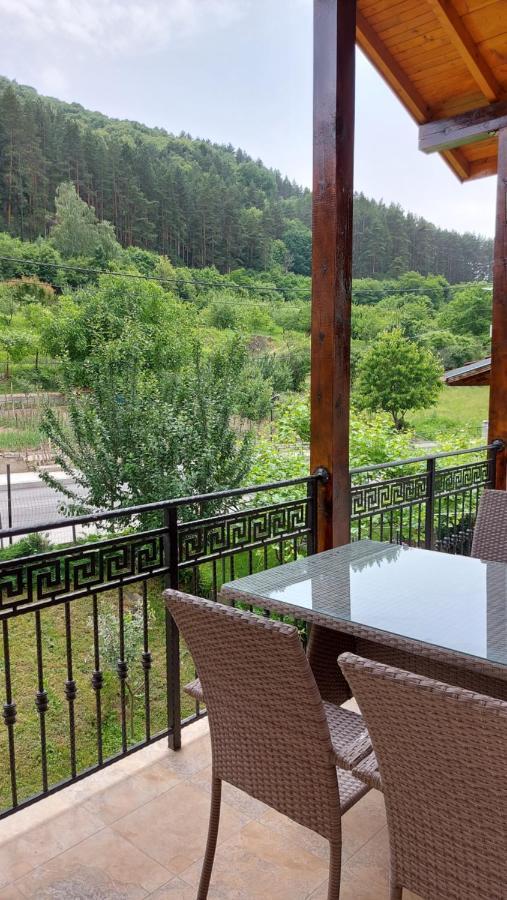 Forest Apartment Sapareva Banya Bagian luar foto