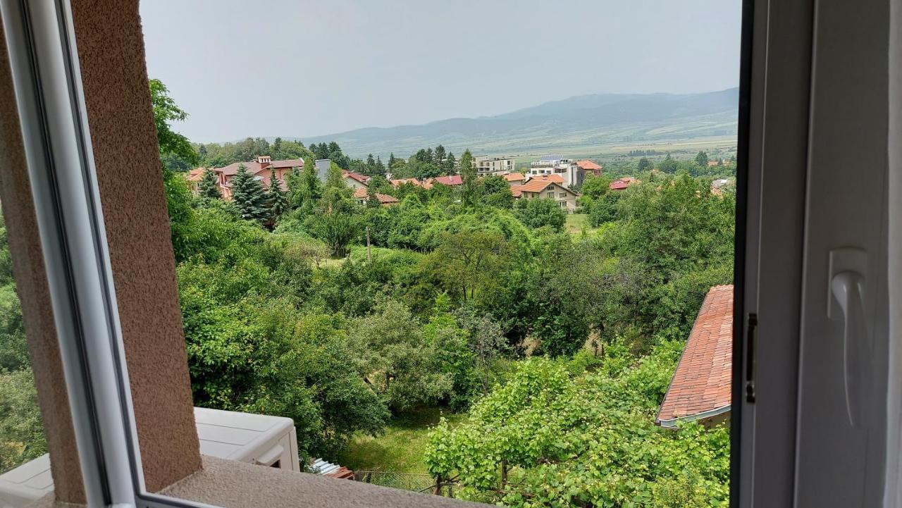 Forest Apartment Sapareva Banya Bagian luar foto