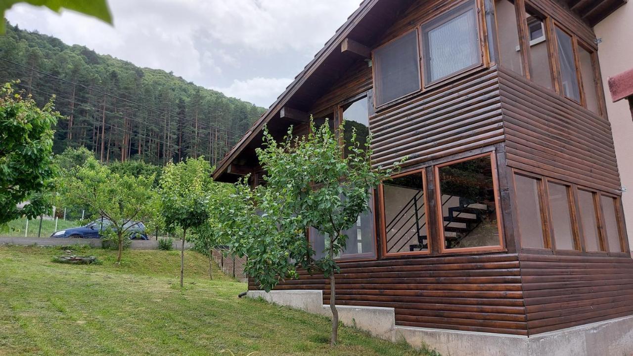 Forest Apartment Sapareva Banya Bagian luar foto