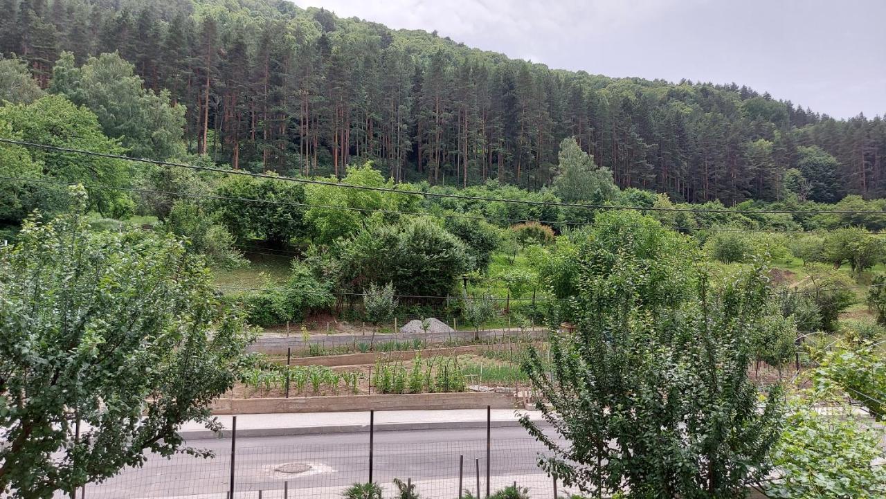 Forest Apartment Sapareva Banya Bagian luar foto